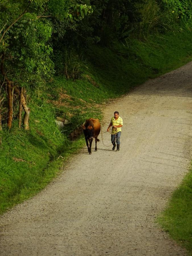 Miztli Lodge & Adventure Monteverde Exteriér fotografie