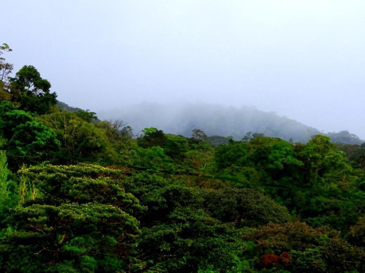 Miztli Lodge & Adventure Monteverde Exteriér fotografie