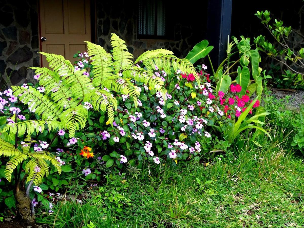 Miztli Lodge & Adventure Monteverde Exteriér fotografie