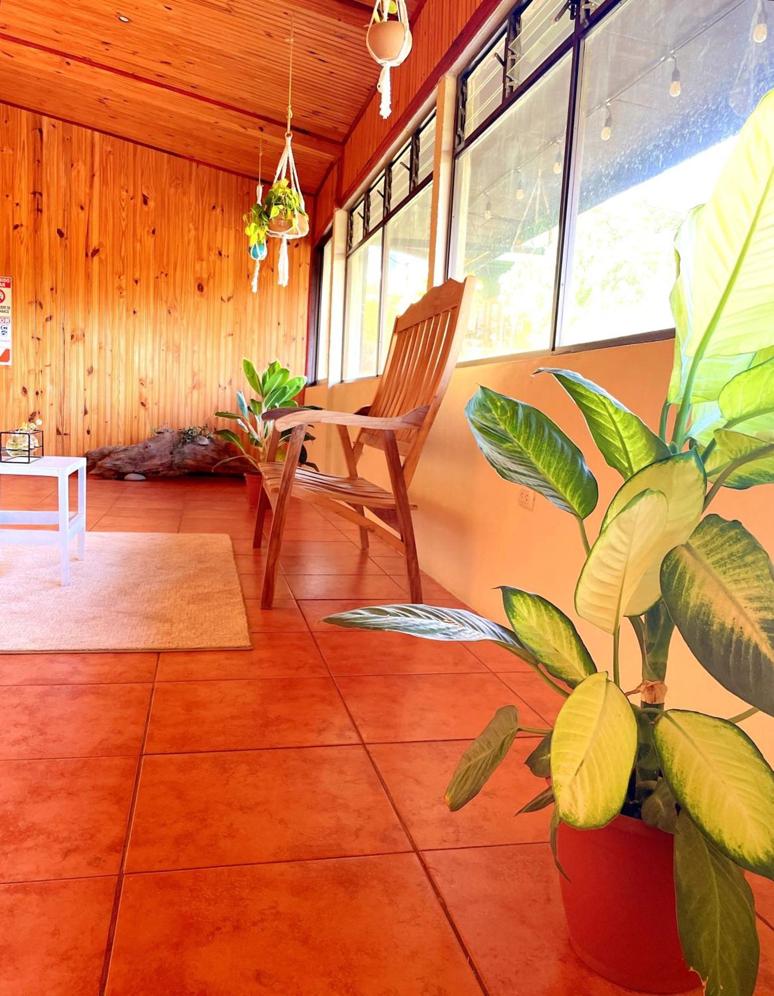Miztli Lodge & Adventure Monteverde Exteriér fotografie